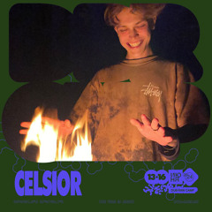 Celsior - Dub Raw Camp 2024 Special Mix