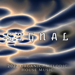 2022 Organic/ Melodic House Music - Raleigh, NC