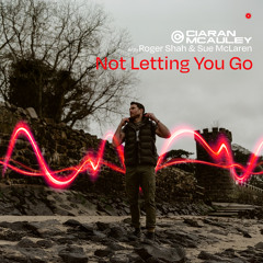 Not Letting You Go (Extended Mix)