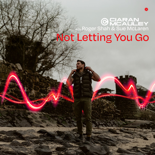Not Letting You Go (Extended Mix)