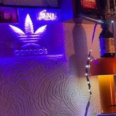 Bonsai Tree Unseen Against EMC