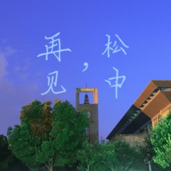 再见，松中