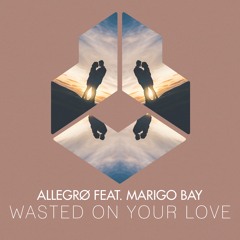 ALLEGRØ - Wasted On Your Love (Extended Master)