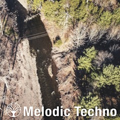 Melodic Techno in the Catskills | DJ Left Cat