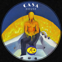 The Ace Theme (Ace & Casa House) - Experimental House 2025