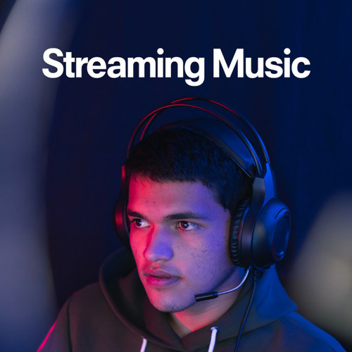 Stream Playlist Beast Listen to Streaming Music 2023 🎮 Twitch Charts