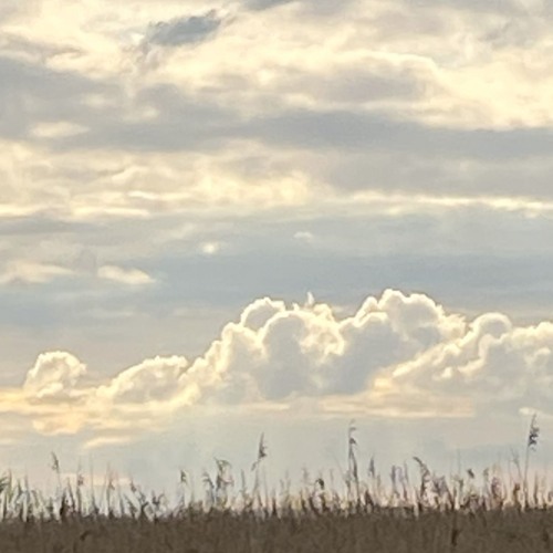 Uncast - from The Butler's Pet Mole.