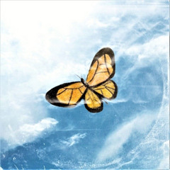 시작 (ft. YSBH jinyoung) (sc ver)