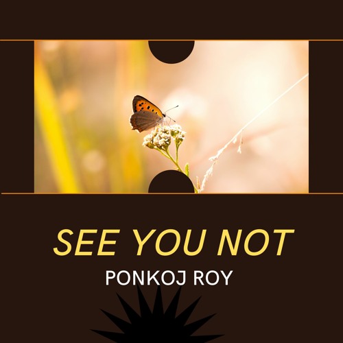 Ponkoj Roy - See You Not