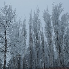 Cold