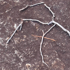stone of my stone