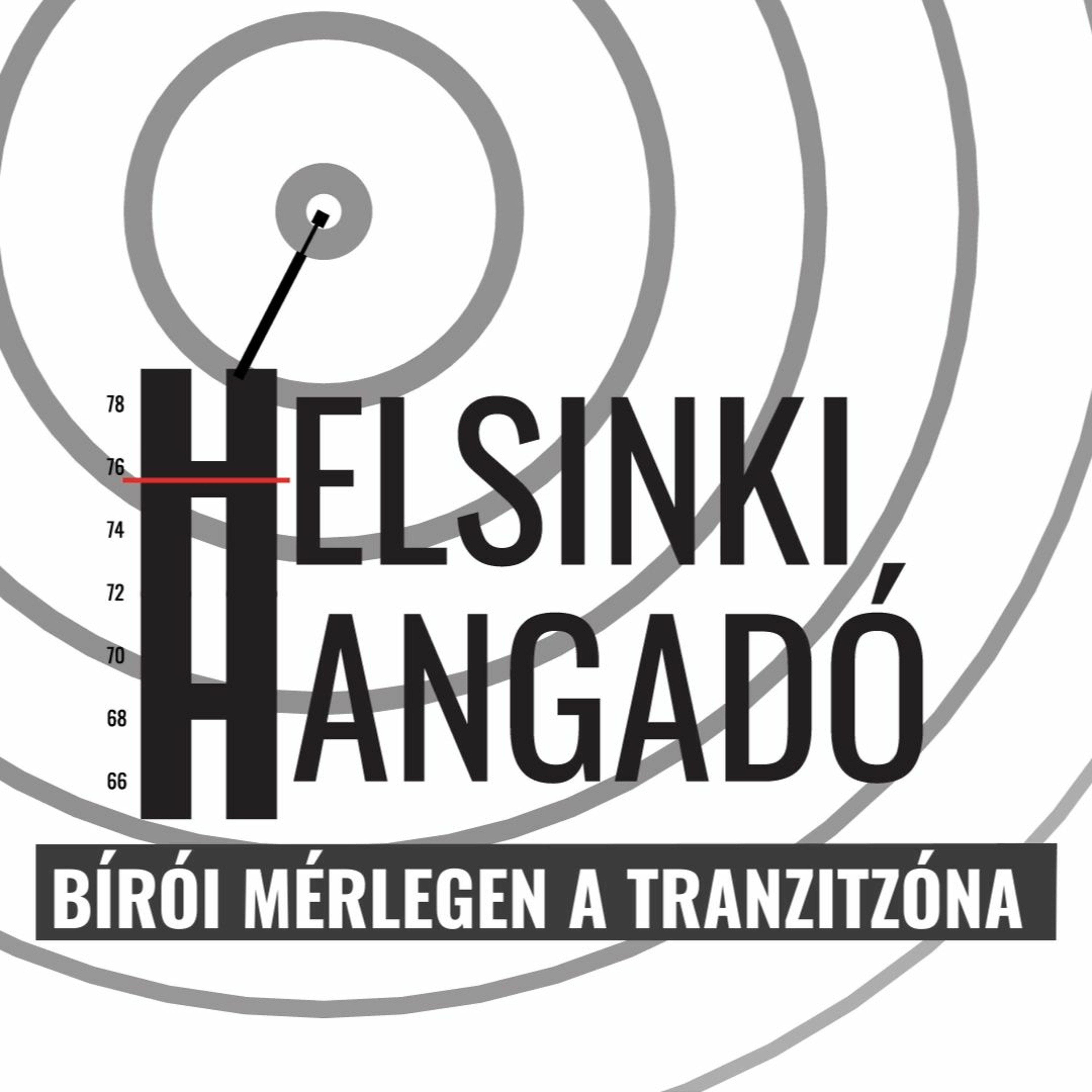Magyar Helsinki Bizottság