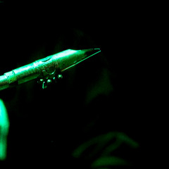 jazz type moments with vocals