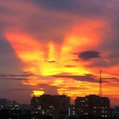 Vietnamdemo (dạo này thích thu bằng iphone hehe)