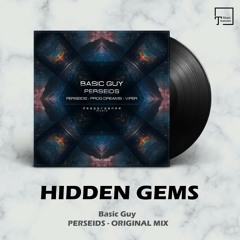 HIDDEN GEMS: Basic Guy - Perseids (Original Mix) [DEEPERSENSE MUSIC]