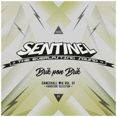 Sentinel Sound - Dancehall Mix Vol 37 - Hardcore Selection - Brik Pon Brik [2020]