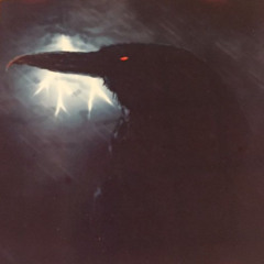 Carpathia - The Ring