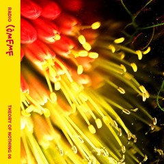 Theory of Nothing 06 by Nazira