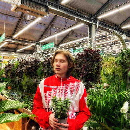 Суки приходят уходят