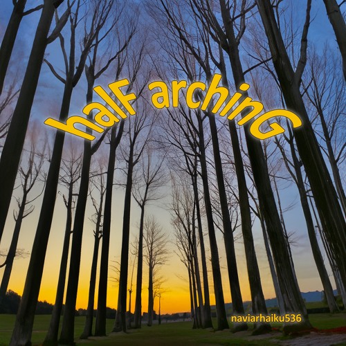 halF archinG [naviarhaiku536]