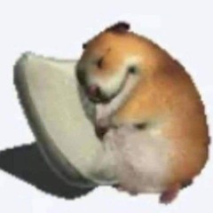 rì mít