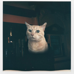 would've been you - cxtto's Flip