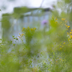 Juan José López Díez, Rok Šturm: Beyond the Audible