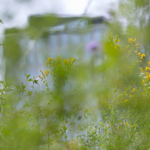 Juan José López Díez, Rok Šturm: Beyond the Audible