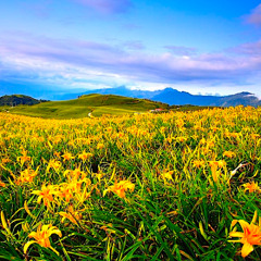 Nothing More Than Feelings~Interior Life (Rebroadcast)