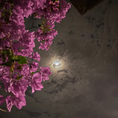وللحين أنا أحبه ولا ابغى بديله