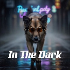 In The Dark
