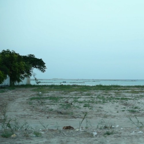 عائِدٌ ميّتي إليّ