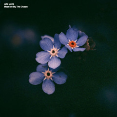 Meet Me By The Ocean