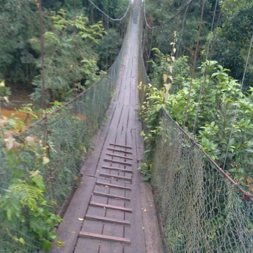 Usuária reclama das condições precárias da ponte pênsil que liga Sumaré e Arizona