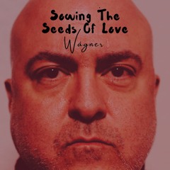 Sowing The Seeds Of Love (A Tears For Fears Cover)