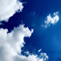 Once In A Lifetime 🤍 Brooke Pichel