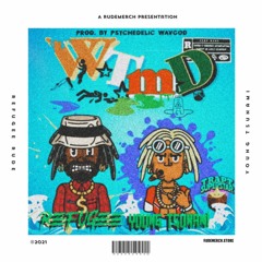 WTMD Ft. Young Tsunami(prod. Psychedelic WavGod)