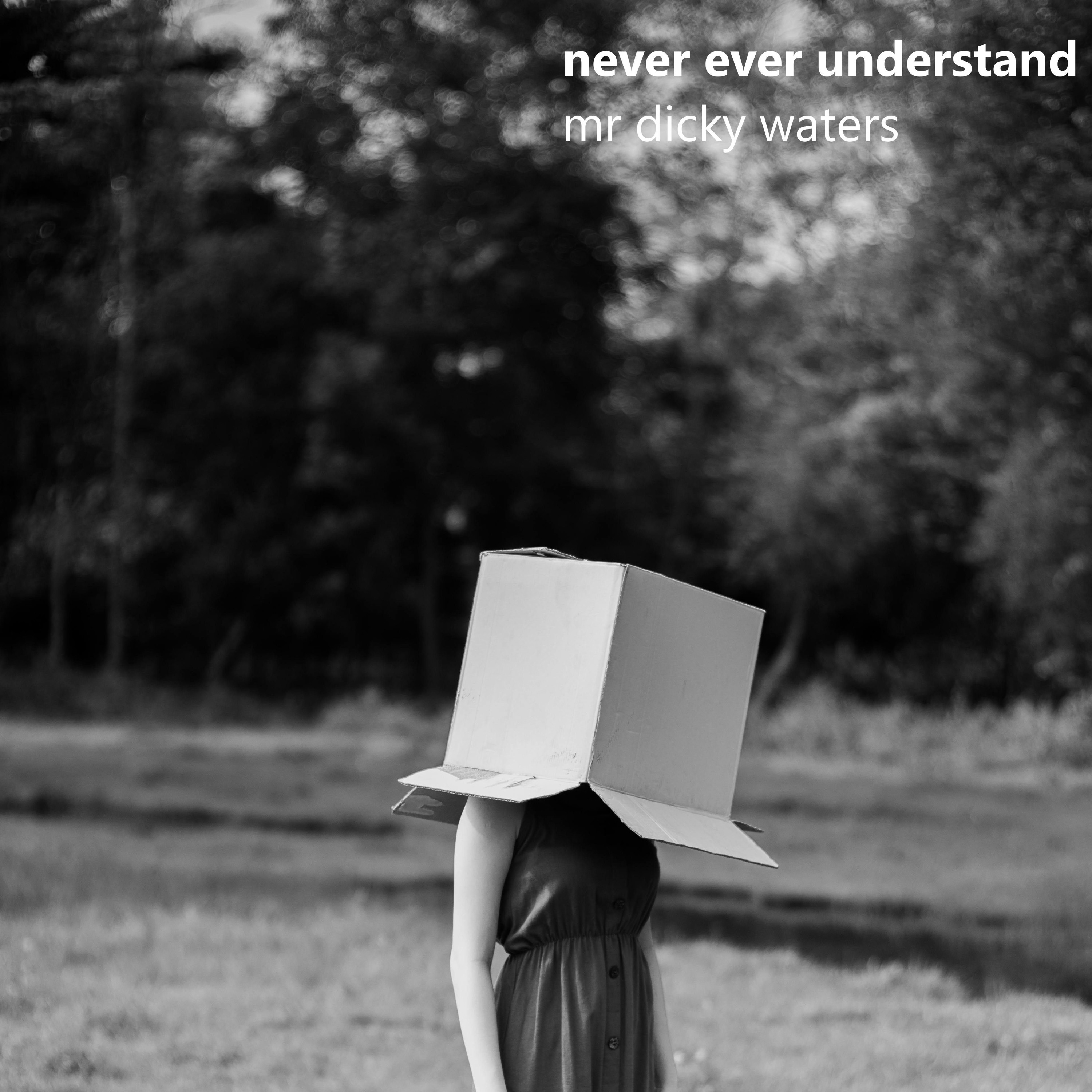 Never Ever Understand {demo} episode artwork