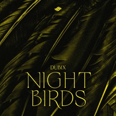Dubix - Night Birds