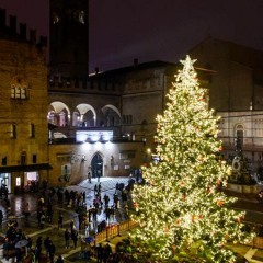 Liz augura buon Natale