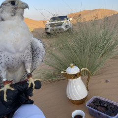 ‎⁨ميحد حمد - آه يا من روحه⁩