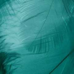 Never Had You, Pt. 2