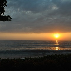 Kuate[1]