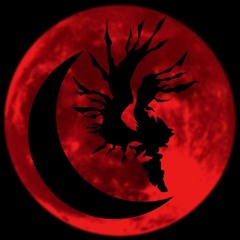 THE MOON DOESN'T SHINE