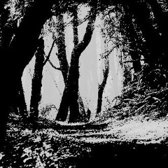 PAUSE (FREE DL)