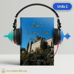 Urdu1 Bookreview - Stephen Benjamin