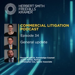 Commercial litigation EP34: General update