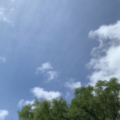 LastGulp ft. 4kVizion,YsnCam,PoloTrey