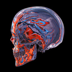 Ma Vie(Mix by.Rafsome)