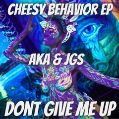 JGS & AKA - Dont Give Me Up (Sample)
